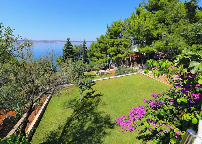 Candela, No 4 스타리그라드 파클레니차